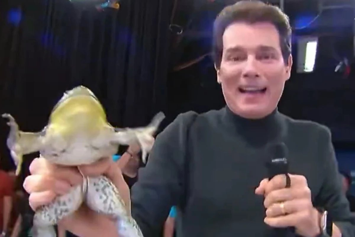 Celso Portiolli corre atrás de perereca ao vivo no SBT. Veja vídeo