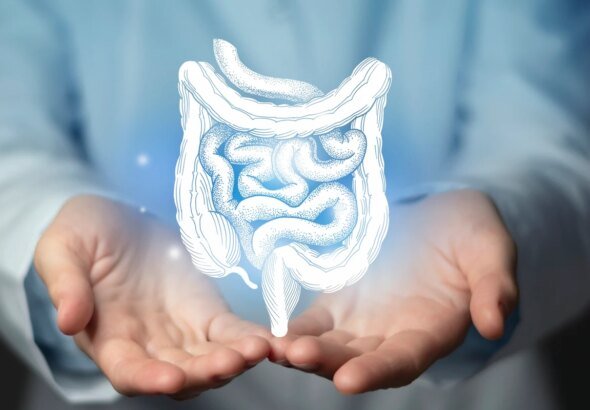 Coloproctologista esclarece principais sinais do câncer de intestino