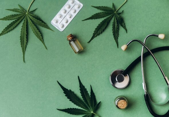 Compostos da cannabis podem reverter a gordura no fígado