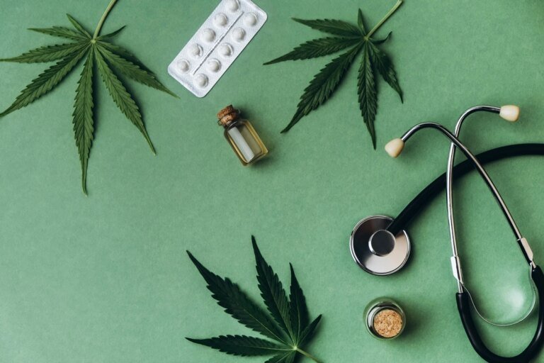 Compostos da cannabis podem reverter a gordura no fígado