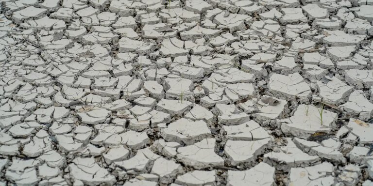 Estiagem: quinze cidades têm situação de emergência decretada