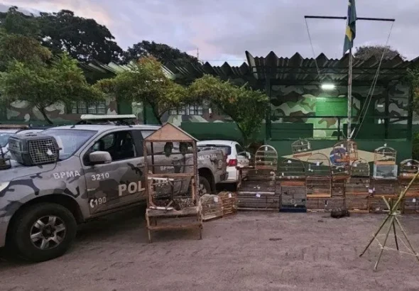 Fiscalização flagra crime ambiental e resgata 38 animais no DF