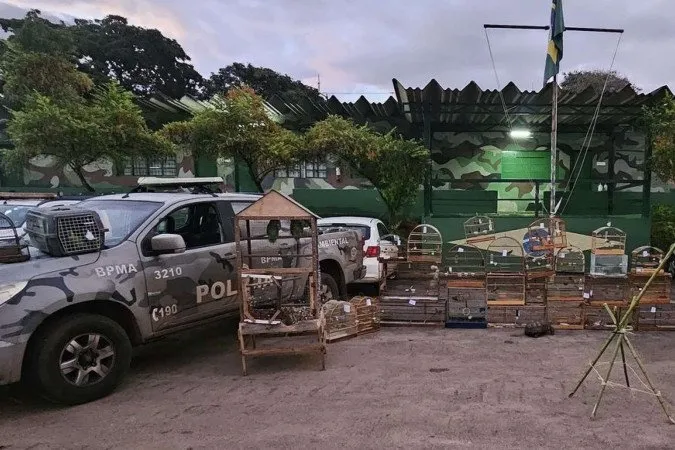 Fiscalização flagra crime ambiental e resgata 38 animais no DF