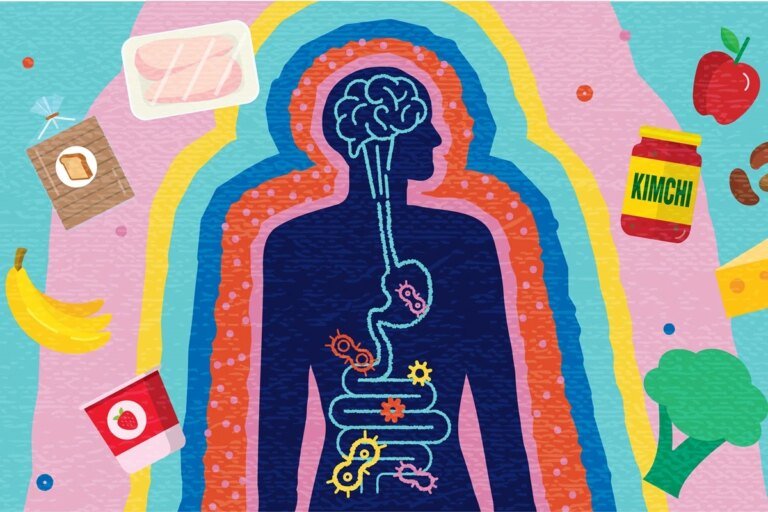 Gastro explica como o eixo intestino-cérebro afeta a saúde