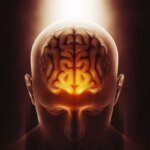 Molécula NAD+ pode ajudar a retardar envelhecimento, dizem cientistas