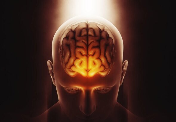 Molécula NAD+ pode ajudar a retardar envelhecimento, dizem cientistas