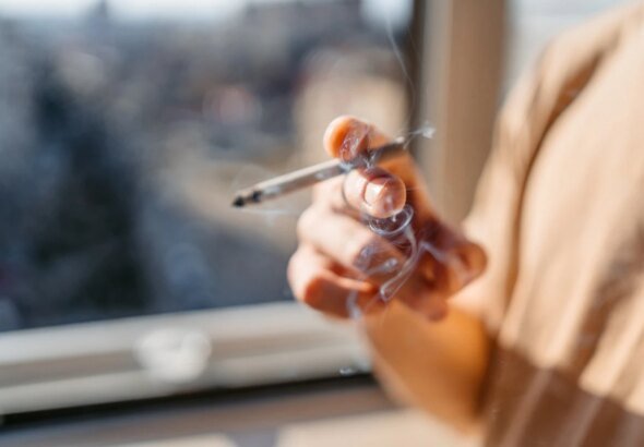 Os riscos do consumo de maconha para adolescentes