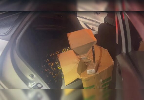 PRF prende motorista com 160 kg de maconha em rodovia