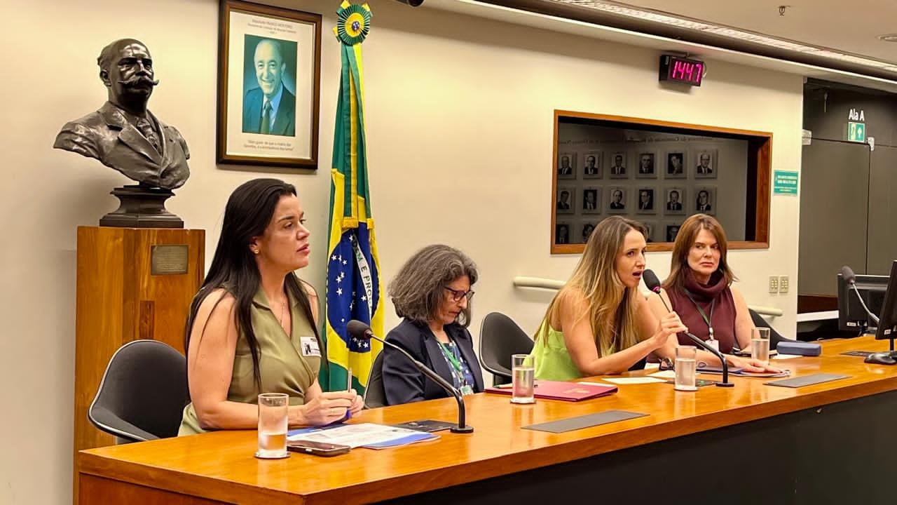 Secretaria da Mulher apresenta política de empregabilidade em encontro na Câmara dos Deputados