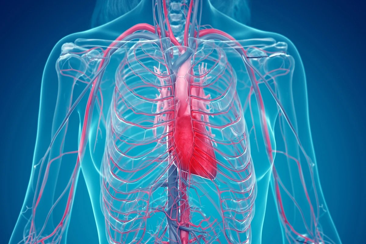cardiologista alerta para falta de ar
