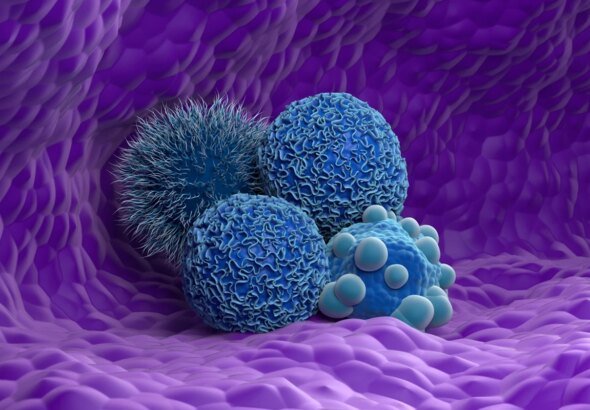 congresso discute sobre temas do câncer