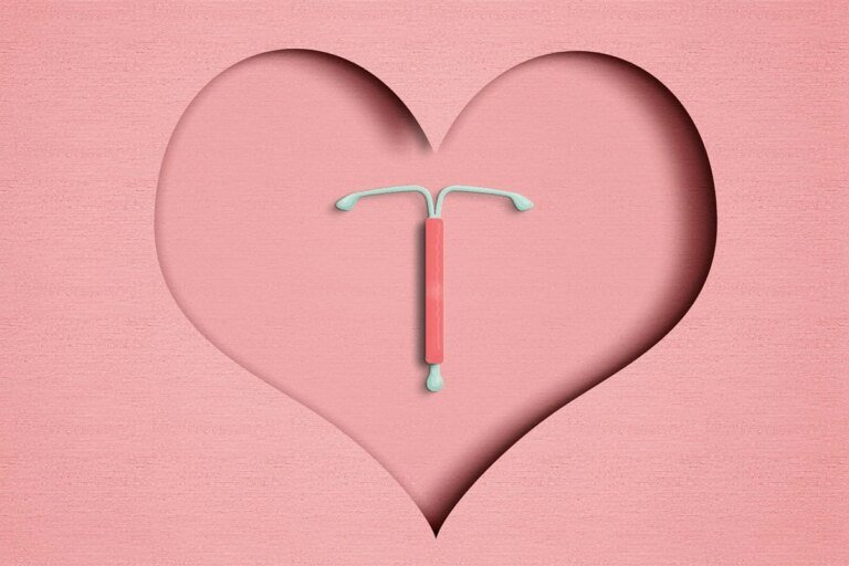 o que se sabe sobre esse elo