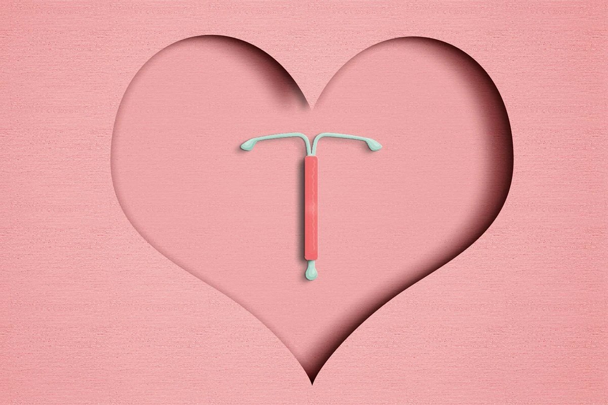 o que se sabe sobre esse elo