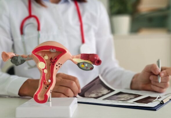 por que é importante ir ao ginecologista