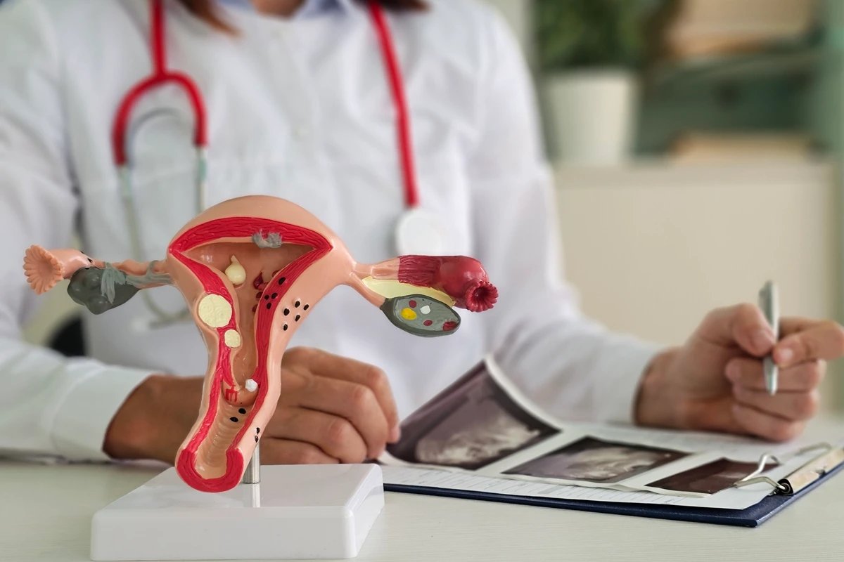 por que é importante ir ao ginecologista