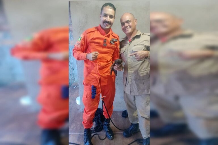 Bombeiros salvam filhote de cachorro que caiu em fossa de casa. Veja vídeo