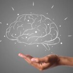 Cérebro para de aprender aos 25? Entenda o que acontece com o órgão