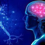 Cientistas observam dano do Alzheimer em tempo real pela 1ª vez