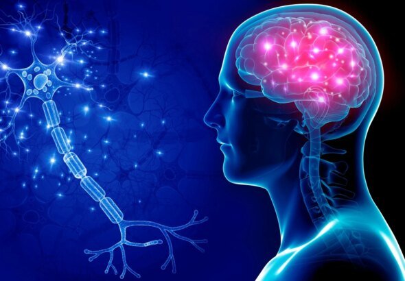 Cientistas observam dano do Alzheimer em tempo real pela 1ª vez