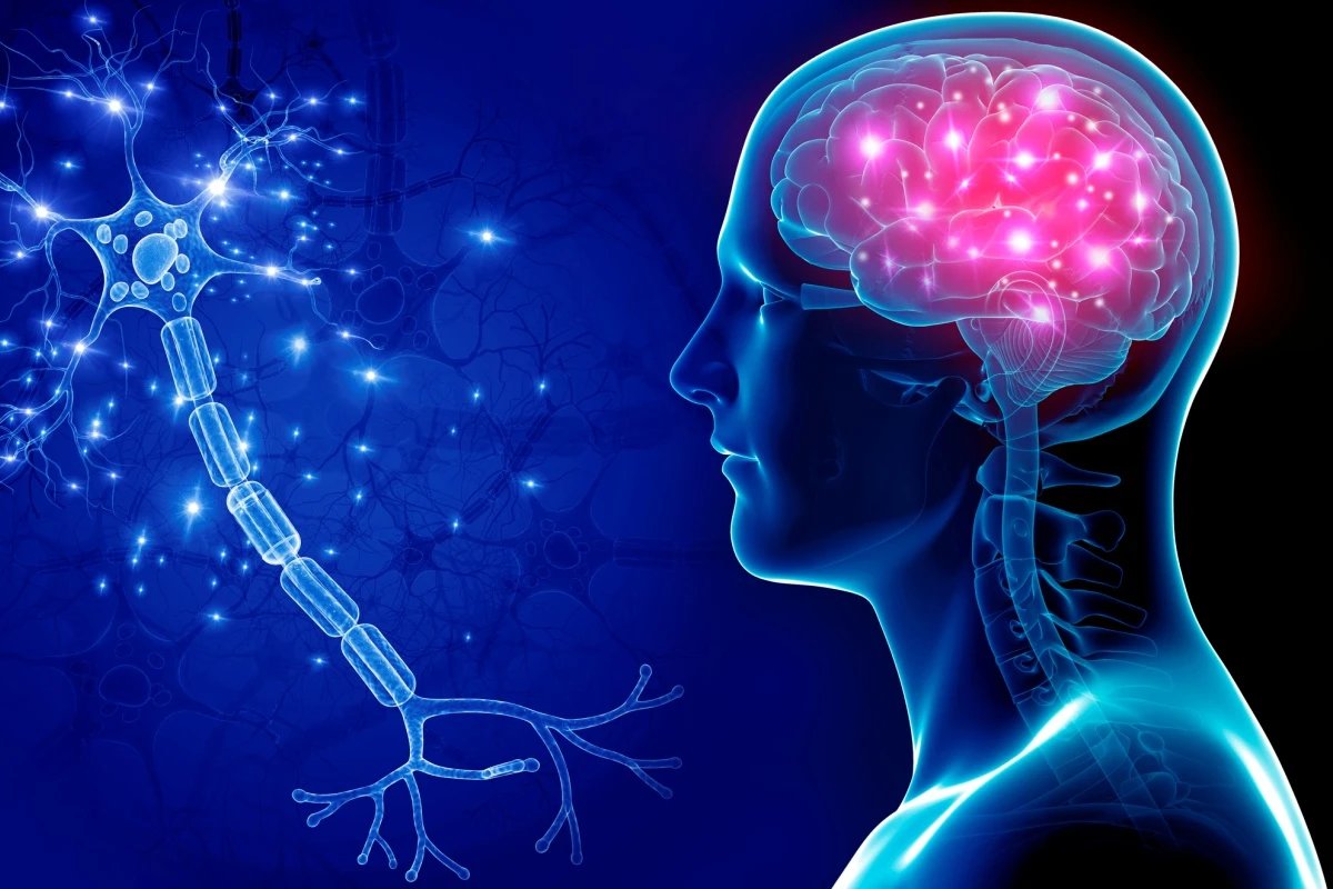 Cientistas observam dano do Alzheimer em tempo real pela 1ª vez