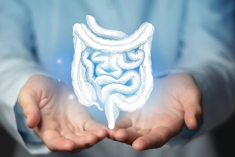 Gastroenterologistas explicam se é possível desinflamar o intestino