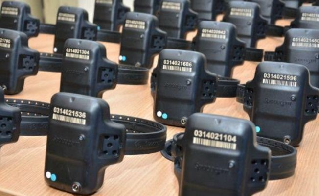 Goiás quer inverter lógica: agressor paga pela própria vigilância