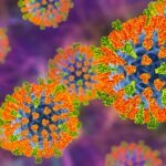 Sarampo preocupa profissionais da saúde, mas retorno pode ser evitado