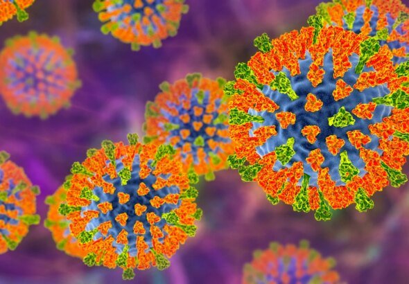 Sarampo preocupa profissionais da saúde, mas retorno pode ser evitado