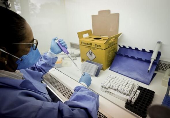 Sem transmissão local, malária chega ao DF por meio de viajantes