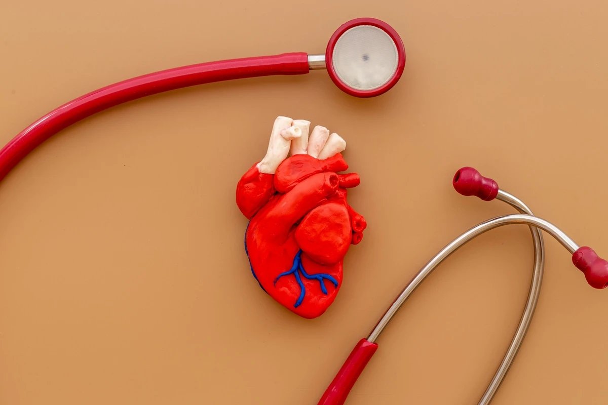 entenda como proteger sua saúde vascular