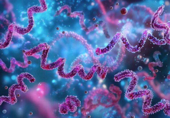 infectologista alerta para alta de casos de sífilis