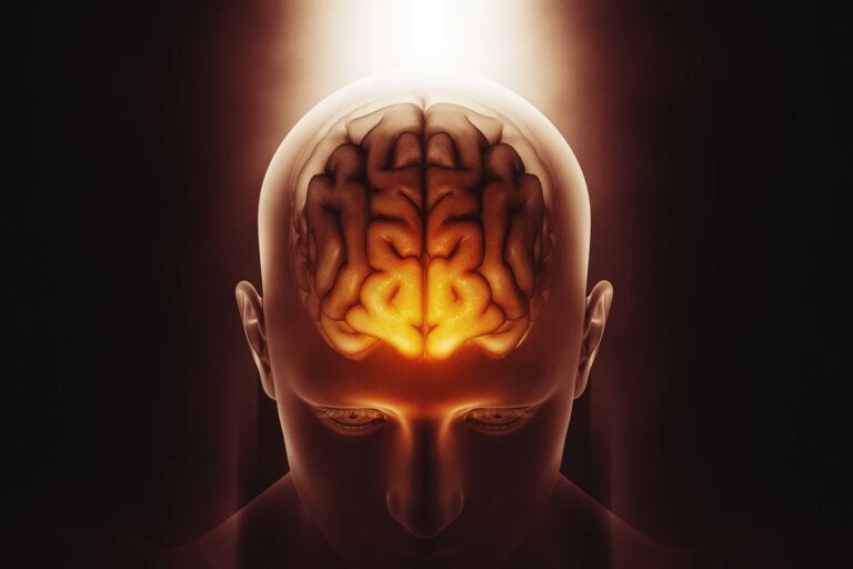 neurologista explica quando o cérebro amadurece