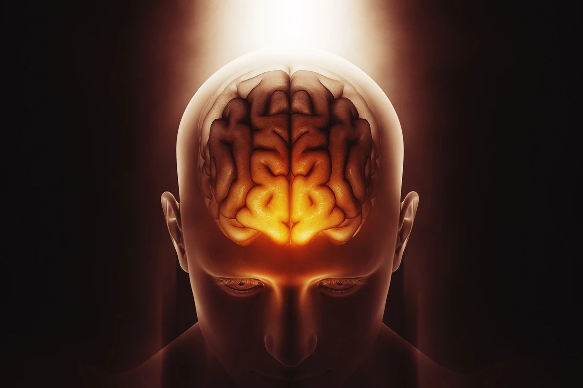 neurologista explica quando o cérebro amadurece