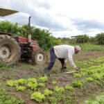 AgroBrasília marca balanço positivo da ETR na regularização fundiária rural