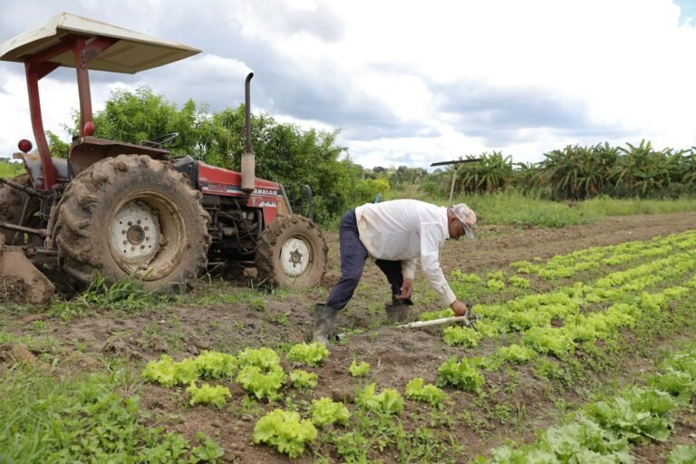 AgroBrasília marca balanço positivo da ETR na regularização fundiária rural