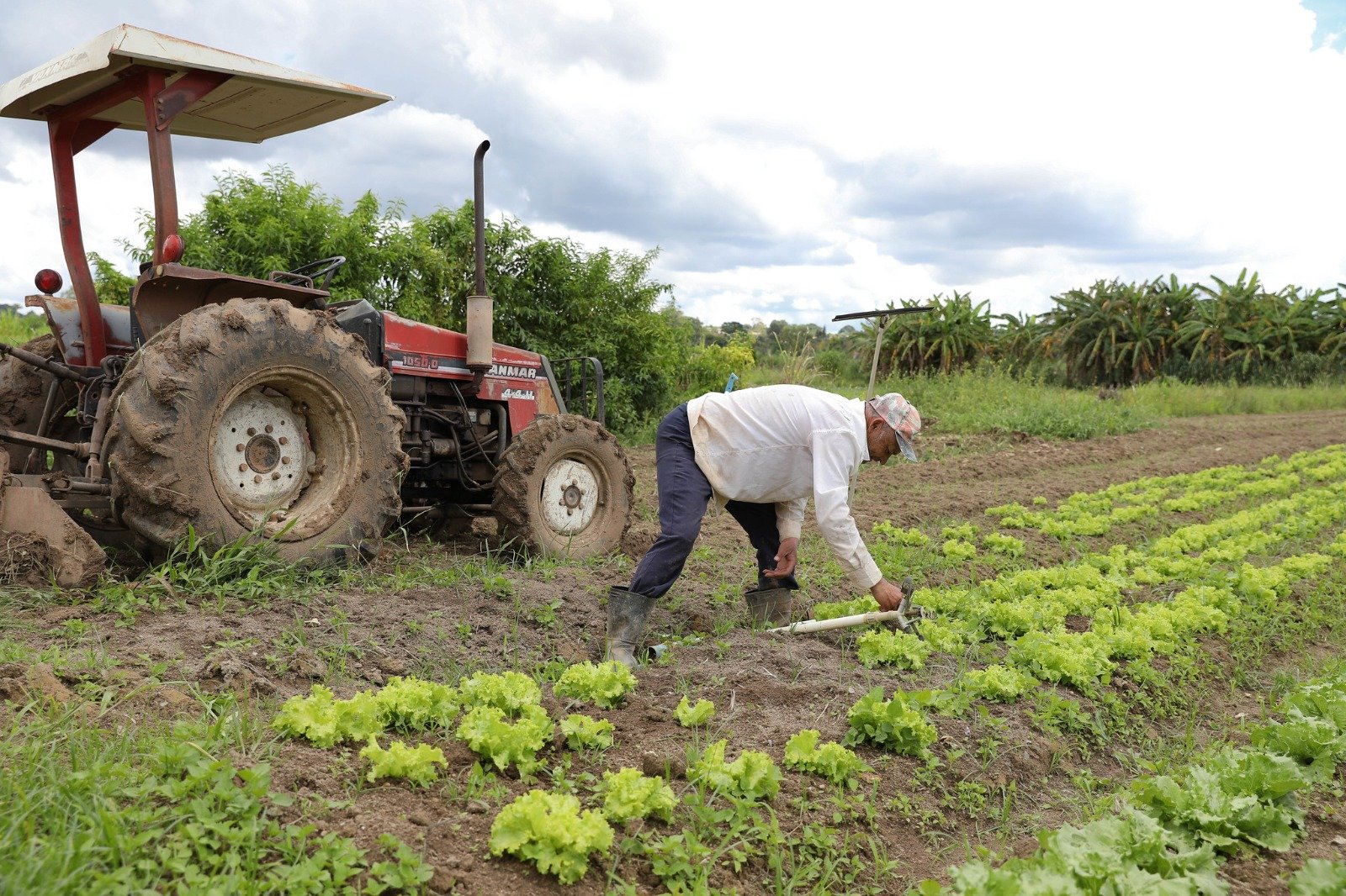 AgroBrasília marca balanço positivo da ETR na regularização fundiária rural