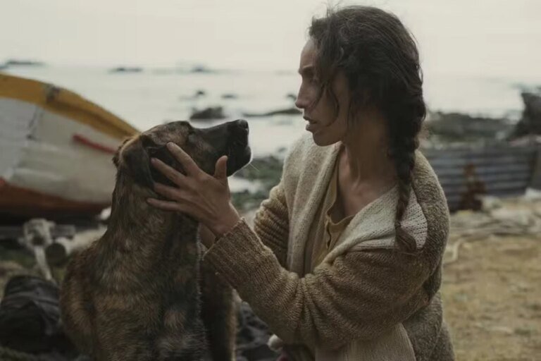 Cadela é premiada em Cannes por filme com Selton Mello