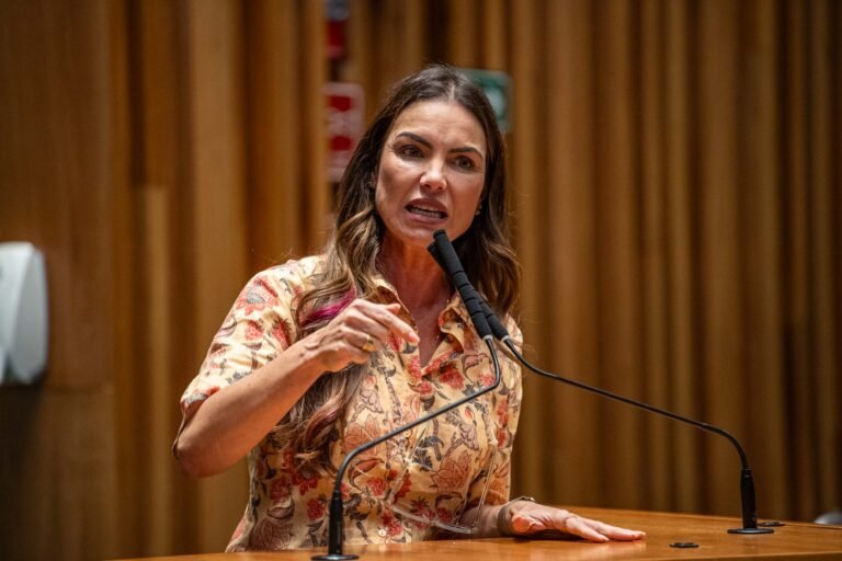 Câmara Legislativa aprova projetos da CPI do Rio Melchior e proposta sobre Estudo de Impacto de Vizinhança