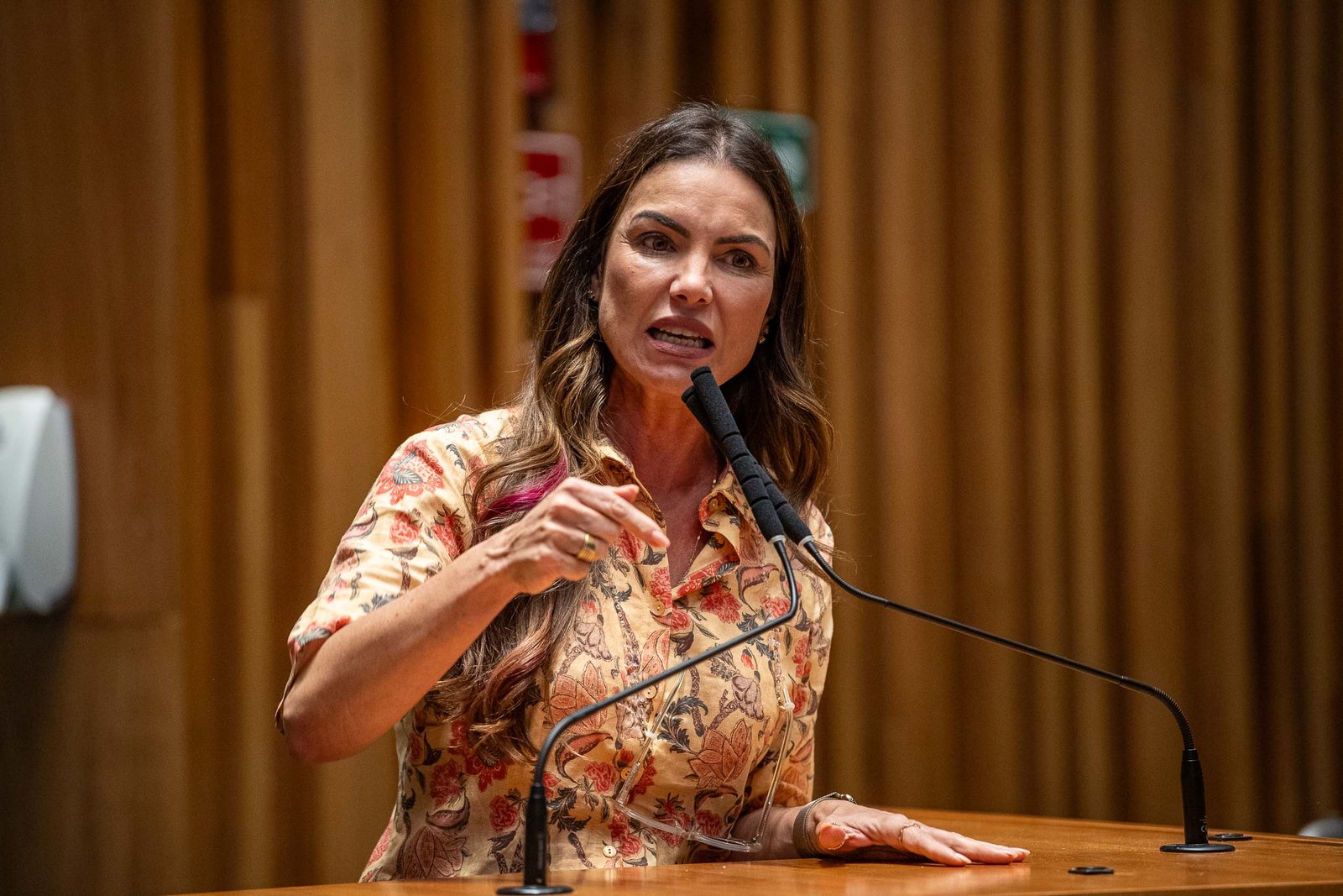 Câmara Legislativa aprova projetos da CPI do Rio Melchior e proposta sobre Estudo de Impacto de Vizinhança