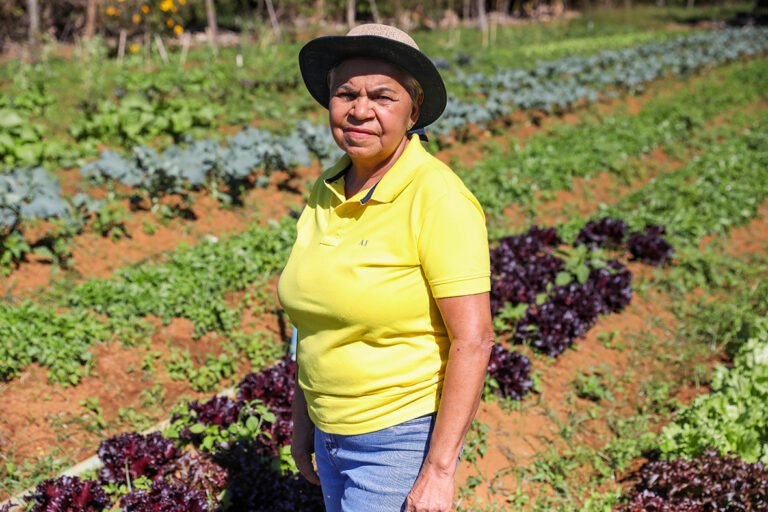 GDF amplia apoio à agricultura familiar com assistência técnica e mecanização rural