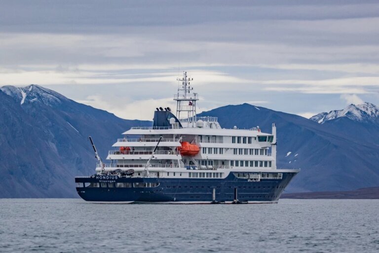 Norovírus e hantavírus: maiores surtos em navios de luxo da história