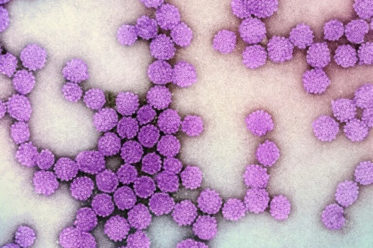 Nova injeção contra hepatite B elimina vírus em até 20% dos casos