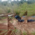 PCGO pede ajuda em caso de cães descartados no lixo em Novo Gama