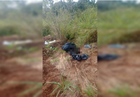 PCGO pede ajuda em caso de cães descartados no lixo em Novo Gama