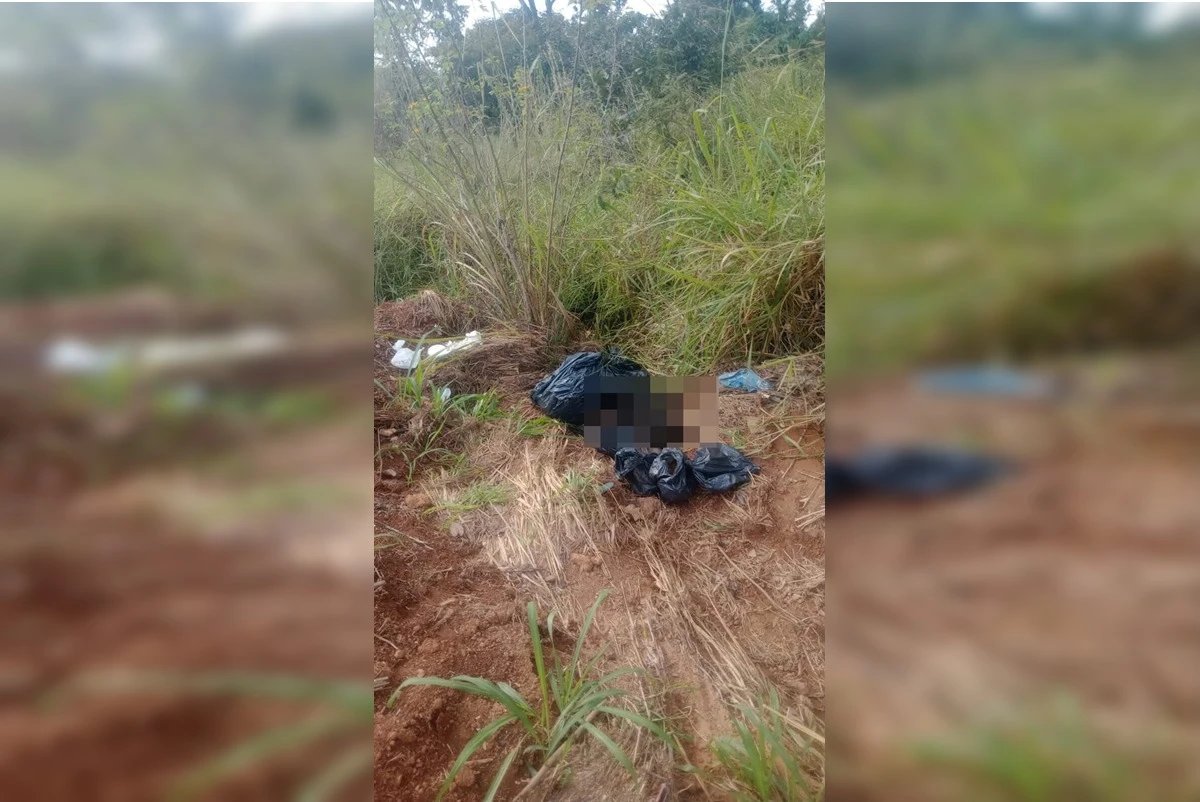 PCGO pede ajuda em caso de cães descartados no lixo em Novo Gama