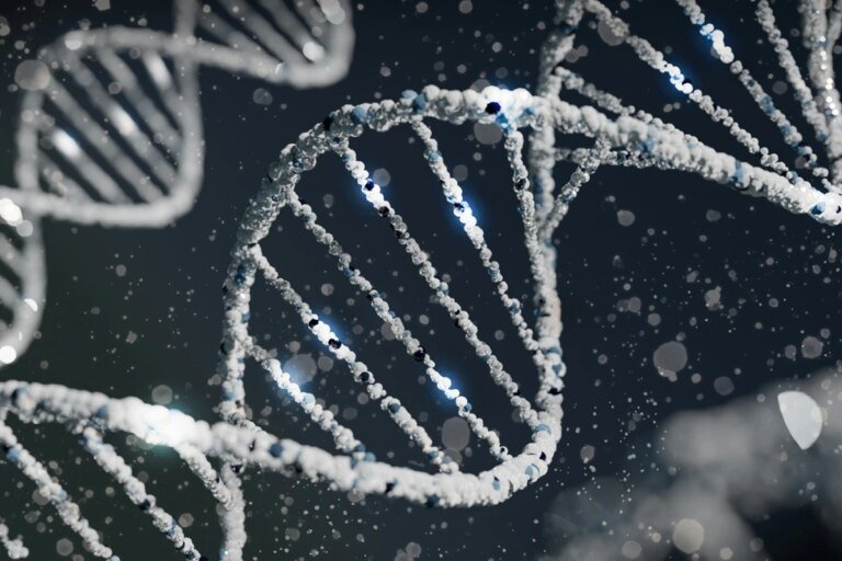 Pesquisa usa gene da longevidade e aumenta vida de ratos. Entenda