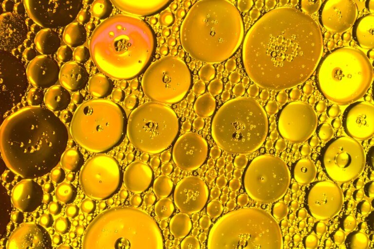 Cientistas descobrem gordura que reduz câncer de pâncreas; saiba qual