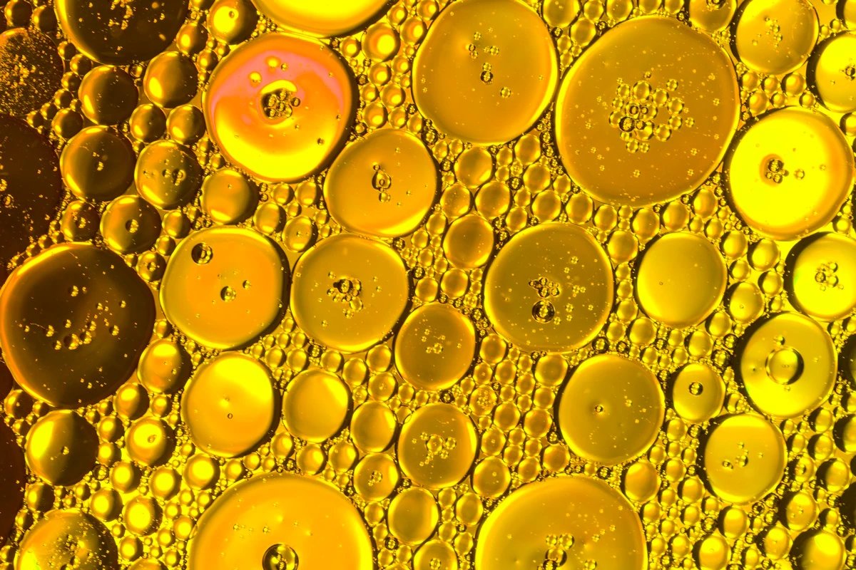 Cientistas descobrem gordura que reduz câncer de pâncreas; saiba qual