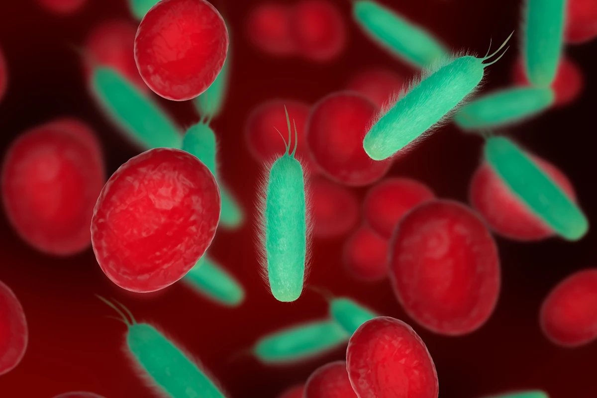 Hematologista explica por que a anemia é mais comum em mulheres